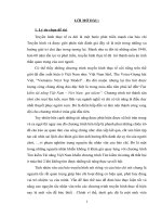 “Bàn về tính nhân văn của chương trình“tìm kiếm tài năng việt nam” – viet nam  got talent” TIỂU LUẬN CAO HỌC