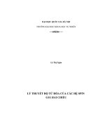 Lý thuyết độ từ hóa của các hệ spin giả hai chiều (TT) 