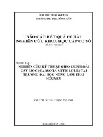 Nghiên Cứu Kỹ Thuật Gieo Ươm Loài Cây Móc (Caryota Mitis Lour)