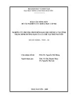 Nghiên Cứu Phương Pháp Bón Đạm Cho Chè Dựa Vào Tình Trạng Dinh Dưỡng Đạm Của Lá Chè Tại Thái Nguyên