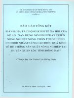 Đánh Giá Tác Động Kinh Tế Xã Hội Của Dự Án Xây Dựng Mô Hình Nông Nghiệp Nông Thôn Theo Hướng Công Nghiệp Hoá Hiện Đại Hoá Nhằm Nâng Cao Hiệu Quả Kinh Tế