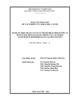 Đánh Giá Hiện Trạng Sản Xuất Thành Phần Dinh Dưỡng Và Hàm Lượng Kim Loại Nặng Trong Cây Cải Xoong (Nasturtium Microphyllum) Tại Thái Nguyên