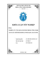 Nghiên cứu ứng dụng enzyme trong công nghệ sản xuất chế phẩm isoflavone dạng aglycone 