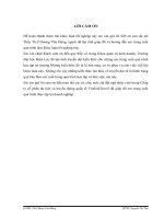 “ HOÀN THIỆN MARKETING DỊCH vụ tại CÔNG TY cổ PHẦN DU LỊCH và TRUYỀN THÔNG QUỐC tế VIETLINKTRAVEL”