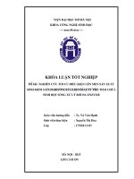 Nghiên cứu tối ưu điều kiện lên men sản xuất sinh khối SACCHAROMYCES CEREVISIAE từ phế thải chứa tinh bột sóng xử lý bởi đa ENZYME 