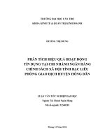 phân tích hiệu quả hoạt động tín dụng tại chi nhánh ngân hàng chính sách xã hội tỉnh bạc liêu phòng giao dịch huyện hồng dân 