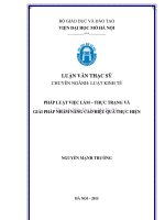 Pháp luật việc làm   thực trạng và giải pháp nhằm nâng cao hiệu quả thực hiện 