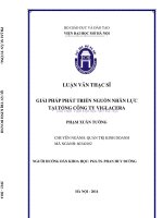 Giải pháp phát triển nguồn nhân lực tại tổng công ty viglacera 