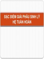 ĐẶC ĐIỂM GIẢI PHẪU HỆ TUẦN HOÀN 