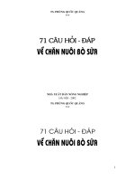 71 Câu hỏi đáp về chăn nuôi bò sữa