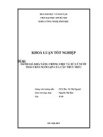 Đánh giá khả năng chống chịu và xử lý nước thải chăn nuôi lợn của cây thủy trúc 