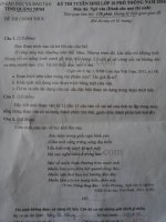 Đề thi tuyển sinh vào lớp 10 môn Ngữ văn tỉnh Quảng Ninh năm học 2016 - 2017