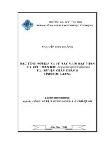 đặc tính nở hoa và sự nẩy mầm hạt phấn của mít chan rai (artocapus heterophyllus) tại huyện châu thành tỉnh hậu giang 