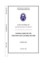 Thương lượng tập thể theo pháp luật lao động việt nam 