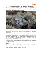 Cách cắt hình bông tuyết cực dễ trang trí Giáng sinh