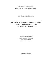 phân tích hoạt động tín dụng cá nhân tại ngân hàng tmcp bản việt chi nhánh cần thơ 