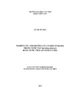 nghiên cứu ảnh hưởng của vi khuẩn bacillus trong nuôi tảo spirulina platensis bằng nước thải ao nuôi cá tra 