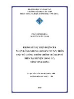 khảo sát sự hiện diện của nhện lông nhung (eriophyes sp ) trên một số giống chôm chôm trồng phổ biến tại huyện long hồ, tỉnh vĩnh long 
