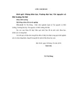 Xây dựng hương ước, quy ước bảo vệ môi trường với sự tham gia của cộng đồng tại thị trấn Thứa, huyện Lương Tài, tỉnh Bắc Ninh