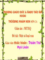 Chủ đề: Một số loài rau