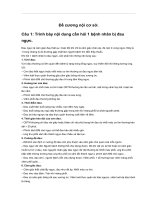 Đề cương nội cơ sở 