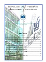 Nghiên cứu chiến lược kinh doanh quốc tế của tập đoàn Procter  Gamble (PG)