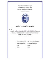 Nghiên cứu cơ chế giảm rối loạn chuyển hóa LIPID của cao chiết EtOH từ tảo lục CODIUM FRAGILE trong tế bào gan HEPG2 