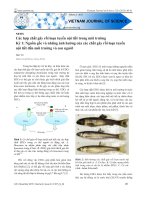 Các hợp chất gây rối loạn tuyến nội tiết trong môi trường Kỳ 1: Nguồn gốc và những ảnh hưởng của các chất gây rối loạn tuyến nội tiết đến môi trường và con người