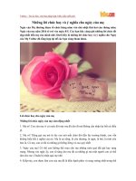 Những lời chúc hay và ý nghĩa cho Ngày của Mẹ