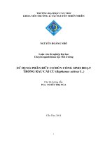 sử dụng phân hữu cơ bùn cống sinh hoạt trồng rau cải củ (raphanus sativus l ) 