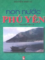 Các tỉnh thành năm xưa non nước phú yên (NXB thanh niên 2004)   nguyễn đình tư, 217 trang 