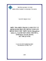 điều tra hiện trạng canh tác và định danh một số chủng nấm gây bệnh thán thư trên xoài (mangiferae indica l ) tại huyện châu thành a, tỉnh hậu giang bằng kỹ thuật pcr 