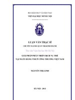 Giải pháp phát triển dịch vụ thẻ tại ngân hàng TMCP công thương việt nam