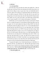 Áp dụng các phương pháp đo lường rủi ri hệ thống trên thị trường chứng khoán Việt Nam