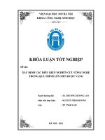 Xác định các điều kiện nghiên cứu công nghệ trong quá trình lên men rượu vang 