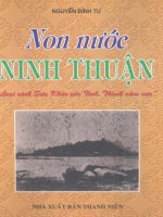 Các tỉnh thành năm xưa non nước ninh thuận (NXB thanh niên 2003)   nguyễn đình tư, 301 trang 