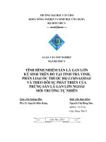 tình hình nhiễm sán lá gan lớn ký sinh trên bò tại tỉnh trà vinh, phân loại ốc thuộc họ lymnaeidae và theo dõi sự phát triển của trứng sán lá gan lớn ngoài môi trường tự nhiên 