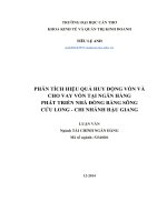 phân tích hiệu quả huy động vốn và cho vay vốn tại ngân hàng phát triển nhà đồng bằng sông cửu long   chi nhánh hậu giang 