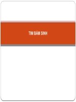 TIM BẨM SINH 