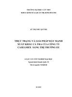 thực trạng và giải pháp đẩy mạnh xuất khẩu cá tra của công ty caseamex sang thị trường eu 