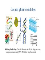 các đại phân tử sinh học và cơ chế sao chép
