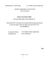 Hoàn thiện thiết kế và công nghệ chế tạo hệ thống thiết bị tự động quấn, lống dây vào rãnh stator động cơ điện công nghiệp công suất từ 0.4kw-7.5kw