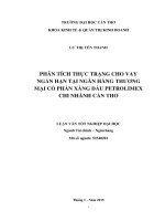 phân tích thực trạng cho vay ngắn hạn tại ngân hàng thương mại cổ phần xăng dầu petrolimex chi nhánh cần thơ 