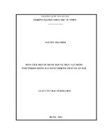 PHÂN TÍCH một số THUỐC bảo vệ THỰC vật NHÓM PYRETHROID TRONG RAU BẰNG PHƢƠNG PHÁP sắc ký KHÍ 