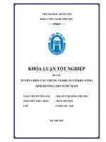 Tuyển chọn các chủng vi khuẩn có khả năng sinh hương cho nước mắm 