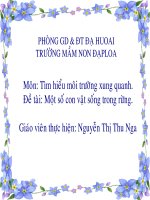 Chủ đề: Một số con vật sống trong rừng