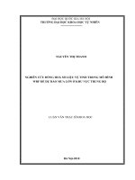 NGHIÊN cứu ĐỒNG HOÁ số LIỆU vệ TINH TRONG mô HÌNH WRF để dự báo mưa lớn ở KHU vực TRUNG bộ 