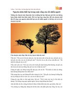 Nguyên nhân thất bại trong cuộc sống của rất nhiều người