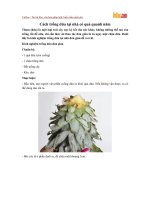 Cách trồng dứa tại nhà có quả quanh năm