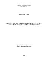 khảo sát tình hình bệnh trên cá bóp (rachycentron canadum) nuôi lồng ở phú quốc và tiên hải tỉnh kiên giang 